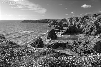 Bedruthan-Steps-Thrift-Cornwall