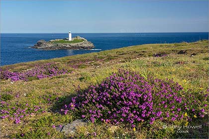 Godrevy-Lighthouse-Heather-Cornwall