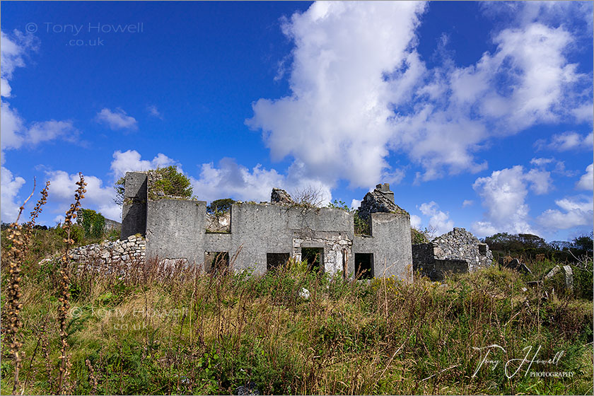 Abandoned House