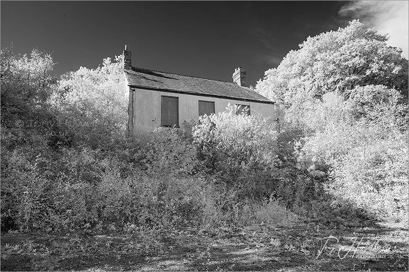 Abandoned House (Infrared Camera; makes grass and foliage go white)