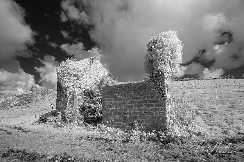 Abandoned House (Infrared Camera; makes grass and foliage go white)