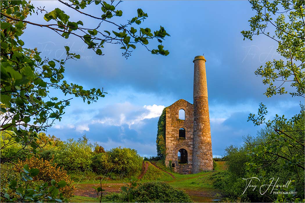 Ale and Cakes Tin Mine