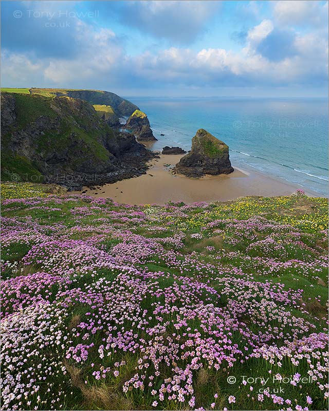 Bedruthan Steps, Thrift