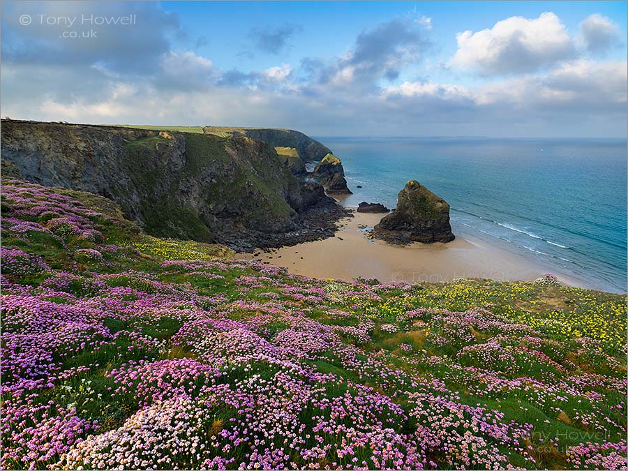 Bedruthan Steps, Thrift