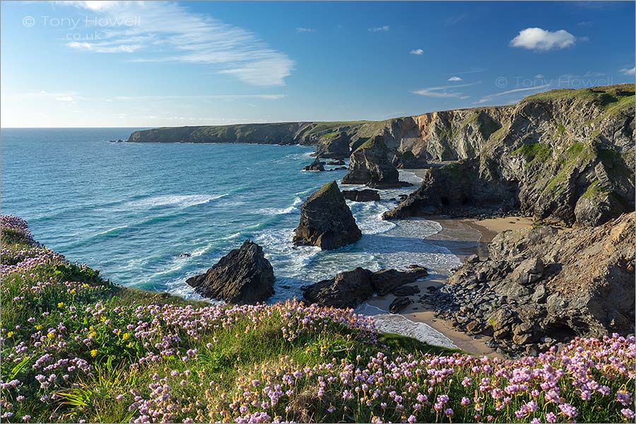 Bedruthan Steps, Thrift