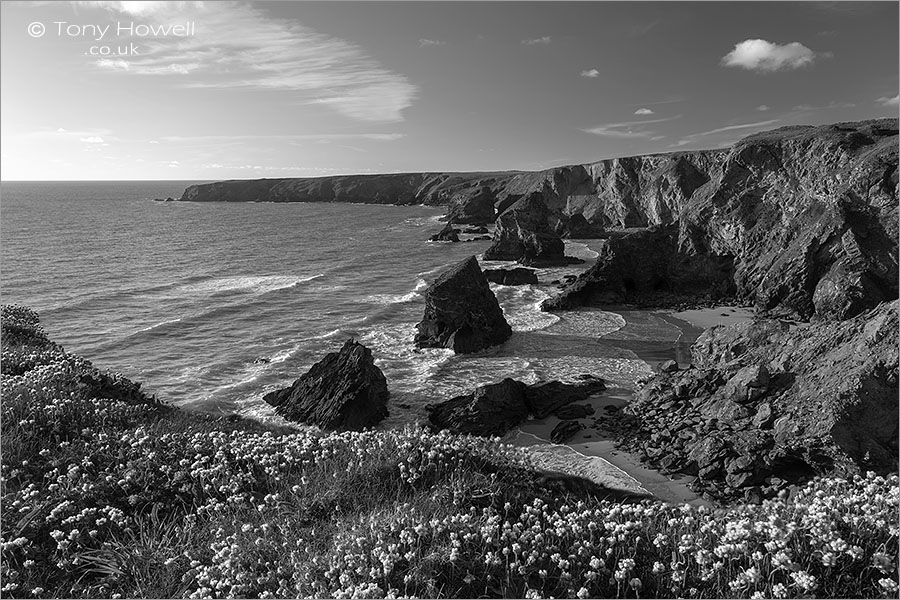 Bedruthan Steps, Thrift