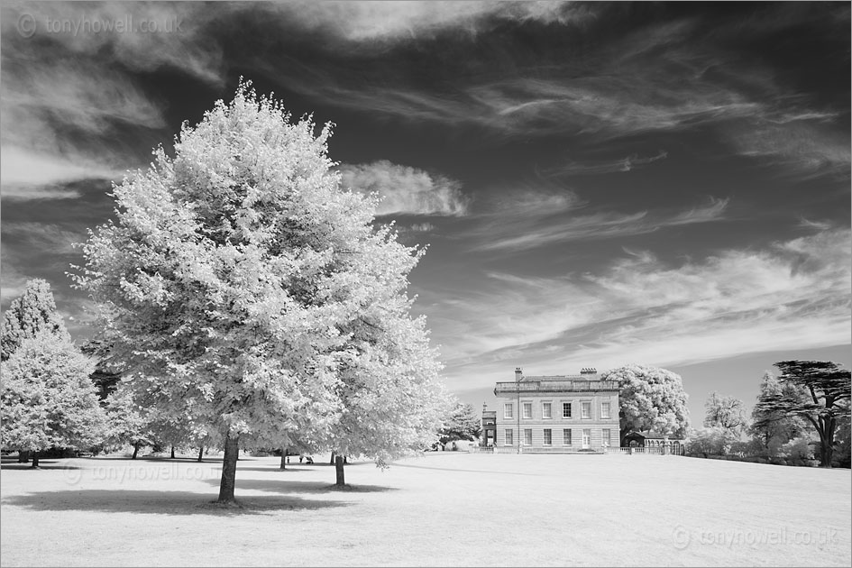 Blaise Castle (Infrared Camera, turns foliage white)