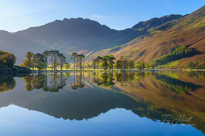 Buttermere Trees