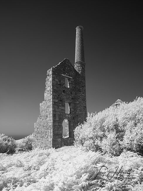 Carn Galver Tin Mine (Infrared Camera, turns foliage white)