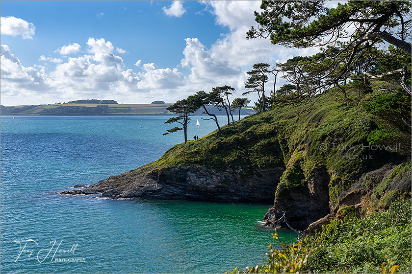 Carricknath Point, The Roseland