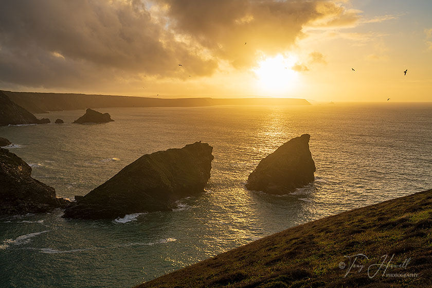 Carvannel Downs, Portreath