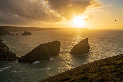 Carvannel-Downs-Cornwall-AR3419