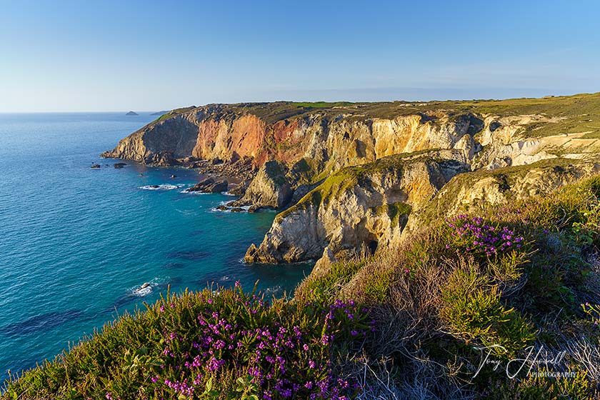 Cligga Head, near Perranporth