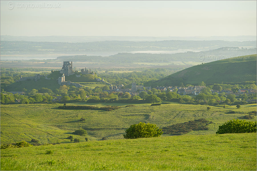 Corfe Castle, Dawn