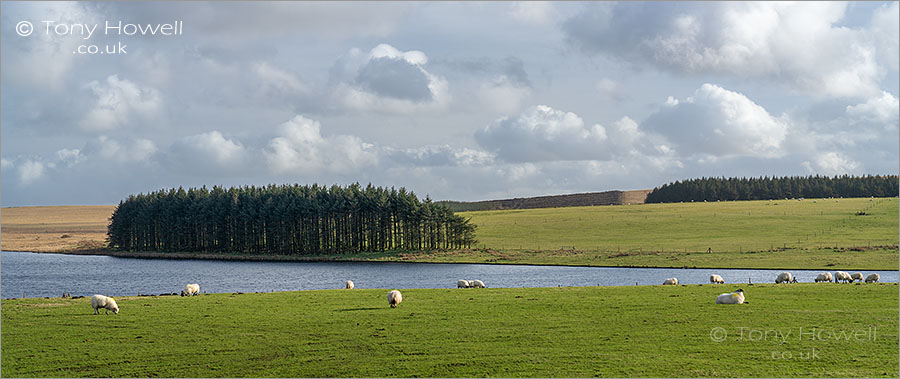 Crowdy Reservoir