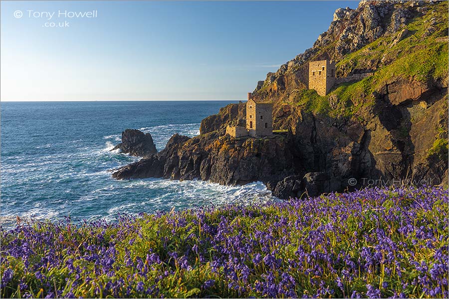 Crowns Mine, Botallack, Bluebells