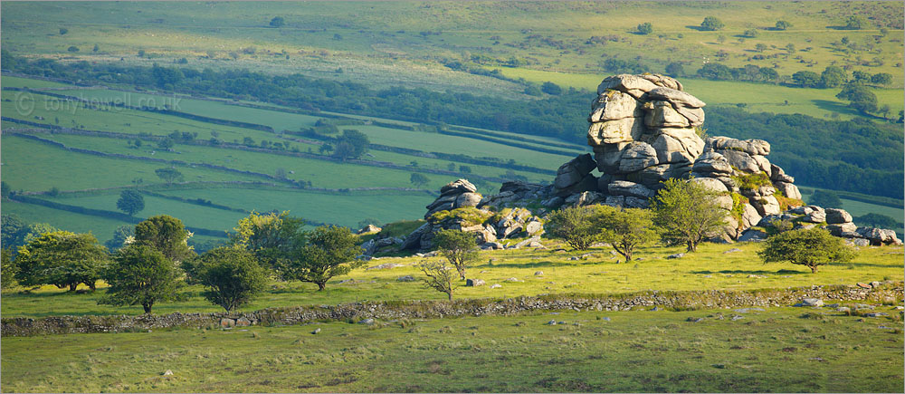 Vixen Tor