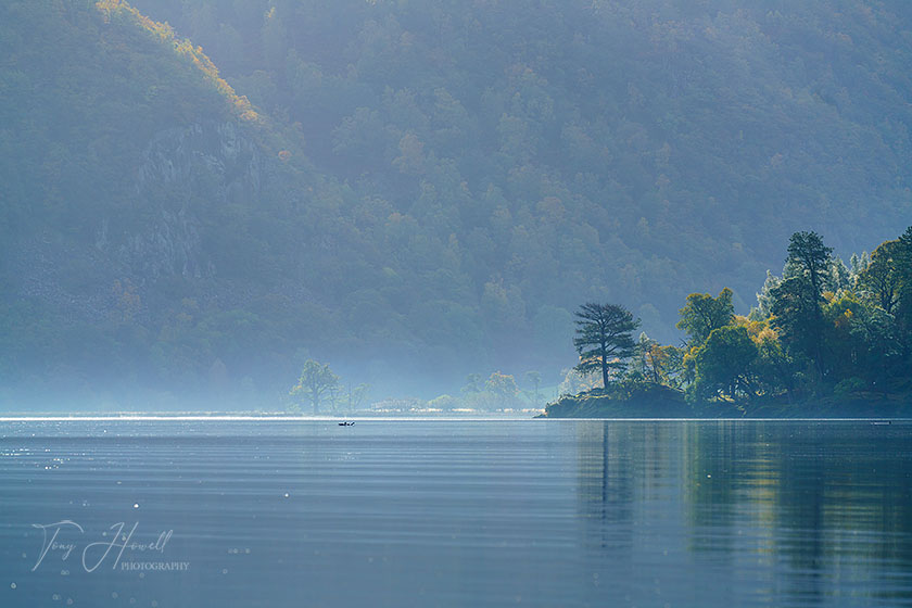 Derwent Water, Pine Tree