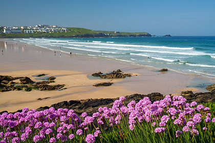 Fistral-Beach-Sea-Pinks-Cornwall