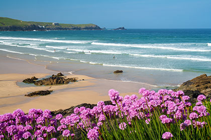 Fistral-Beach-Sea-Pinks-Cornwall