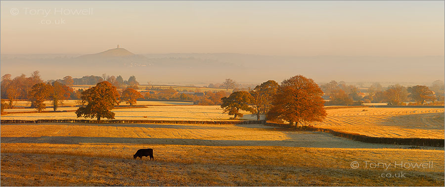 Glastonbury Tor, Mist, Autumn