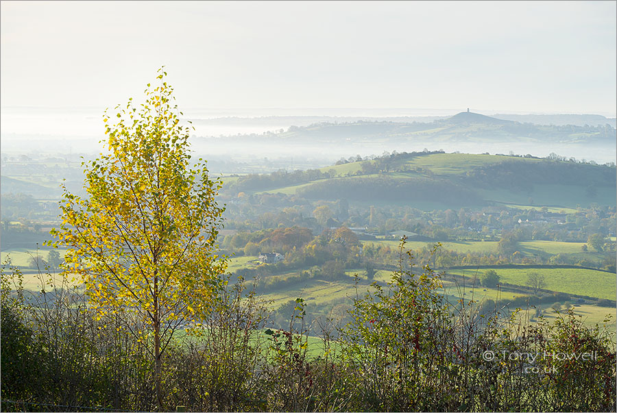 Mist, Glastonbury Tor