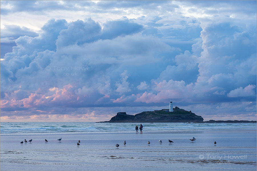 Godrevy Lighthouse, Gulls