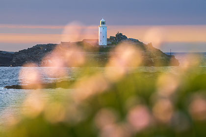 Godrevy-Lighthouse-Sea-Pinks-Cornwall-AR3492