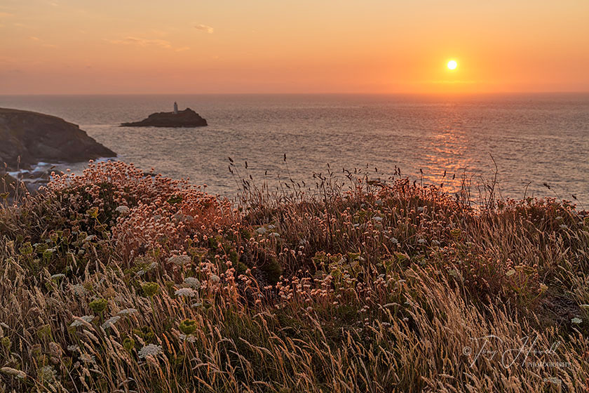 Godrevy Lighthouse, Wildflowers, Sunset