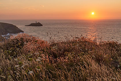 Godrevy-Lighthouse-Wildflowers-Sunset-Cornwall
