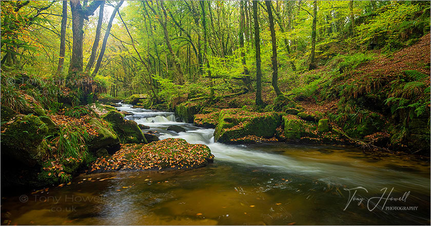 Golitha Falls, Autumn