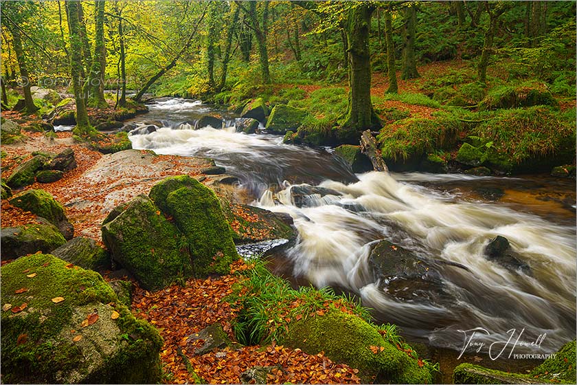 Golitha Falls, Autumn