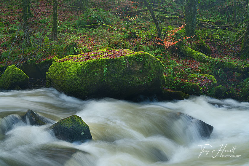 Golitha Falls