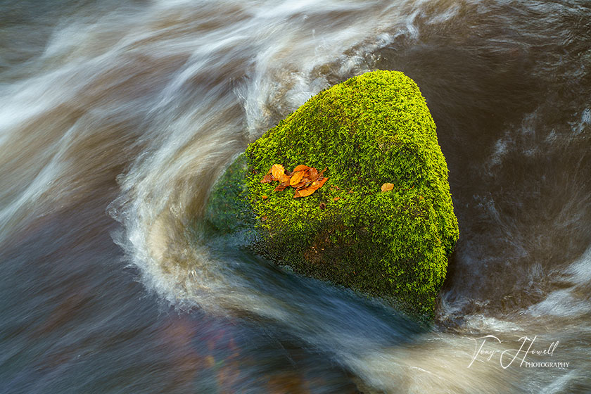 Golitha Falls, Mossy Boulder