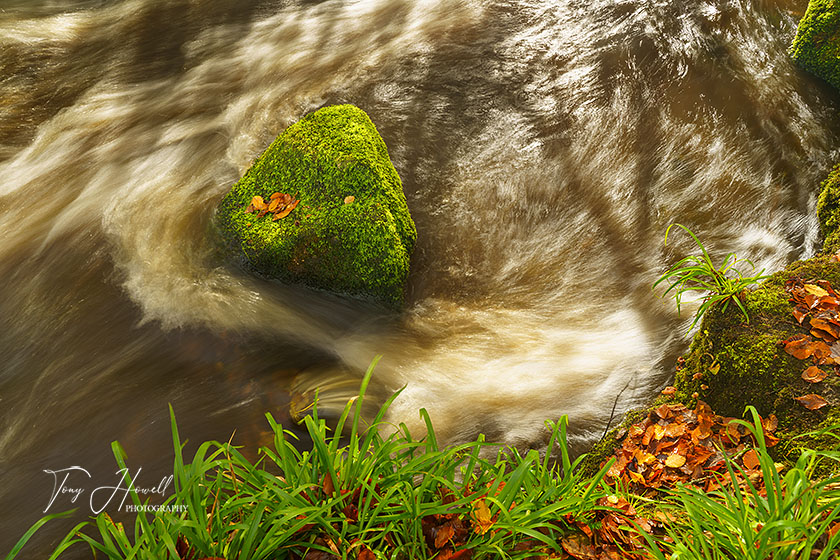 Golitha Falls, Mossy Boulder