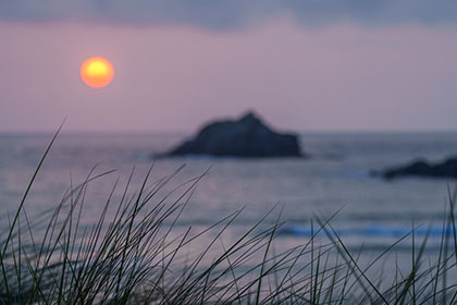 Goose rock -Cornwall