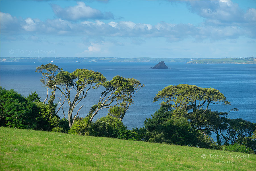 Gull Rock, The Roseland