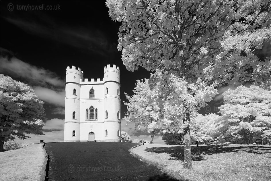 Haldon Belvedere (Infrared Camera, turns foliage white)