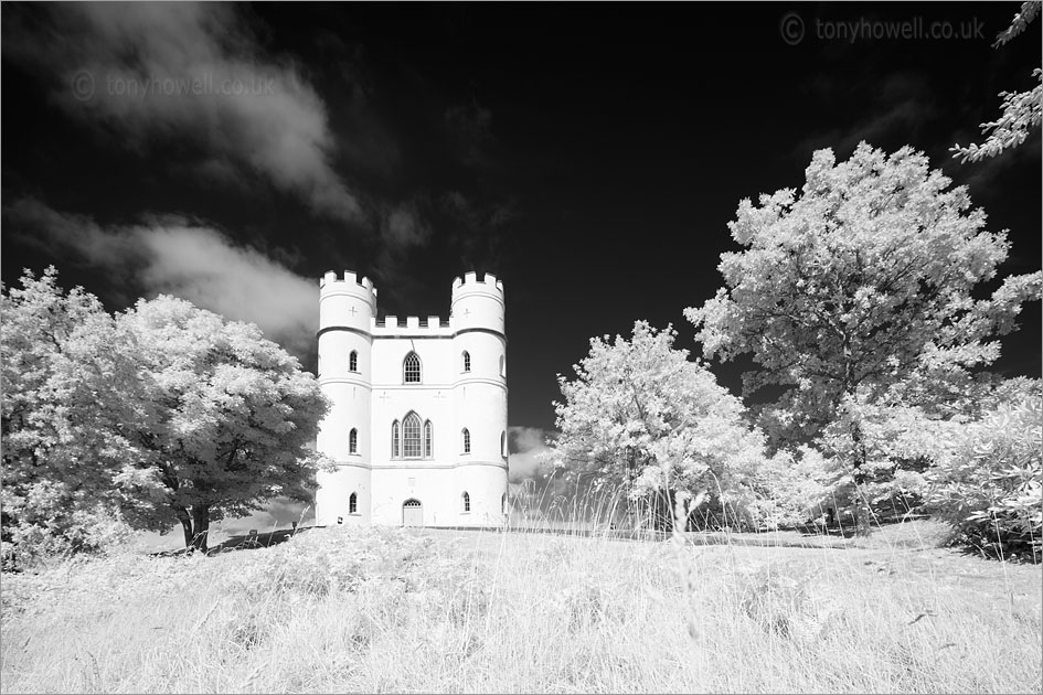 Haldon Belvedere (Infrared Camera, turns foliage white)