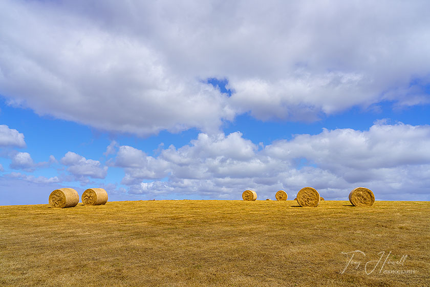 Hay Bales, Carne, The Roseland