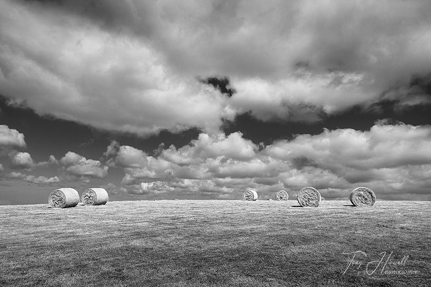 Hay Bales, Carne, The Roseland