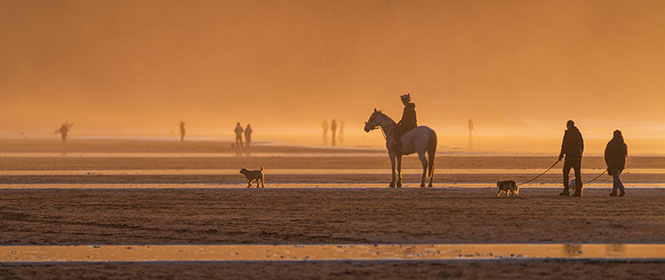 Horse-Perranporth-Beach-Cornwall