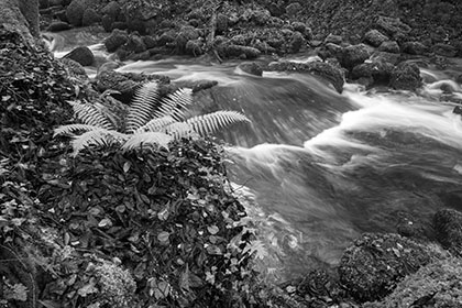 Kennall-Vale-Gunpowder-Mill-Cornwall