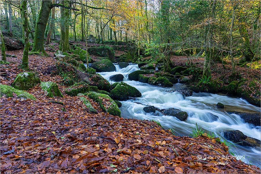 Kennall Vale Cascade, Autumn