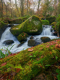 Kennall-Vale-Cornwall