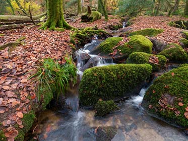 Kennall-Vale-Cornwall