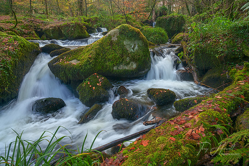 Kennall Vale