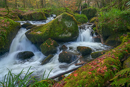 Kennall-Vale-Cornwall
