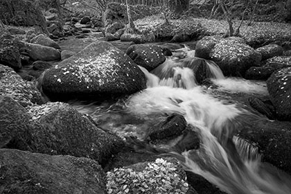 Kennall-Vale-Gunpowder-Mill-Cornwall