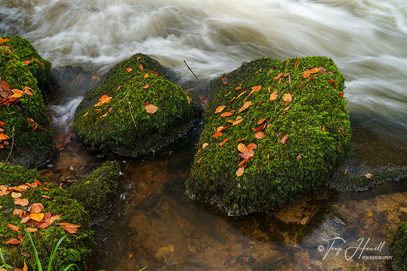 Mossy Rock, Kennall Vale